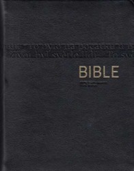 Bible (černá, kůže)