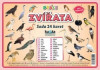 Sada 24 karet - zvířata (ptáci)