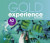 Gold Experience 2nd Edition A2 Class - CD