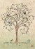 Bird Tree - přání (D076)