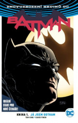 Batman: Já jsem Gotham (brož.)