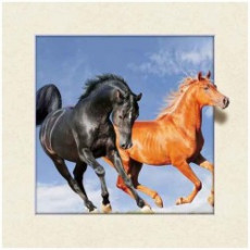 Dva koně - 3D pohlednice velká