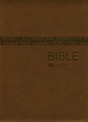 Bible (bronzová, malý formát)