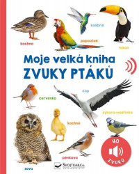 Moje velká kniha - Zvuky ptáků