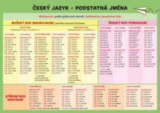 Český jazyk - Podstatná jména