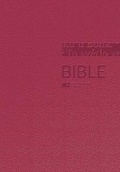 Bible (lesklá vínová, střední formát)