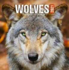 Kalendář 2021 - Wolves