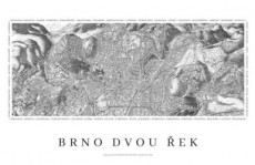 Brno dvou řek - Nástěnná mapa 98 x 68 cm