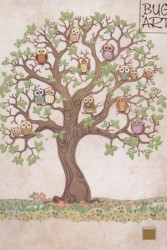 Owl Oak - přání (D152)