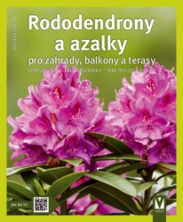 Výprodej - Rododendrony a azalky