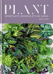 Plant - ZahHouse plants: choosing, styling, caring