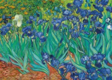 Vincent van Gogh: Kosatce - Puzzle (1000 dílků)