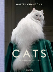 Cats: Photographs 1942-2018