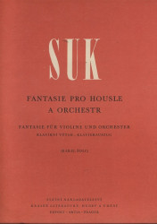 Fantasie pro housle a orchestr