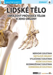 Lidské tělo - Obrazový průvodce tělem a jeho orgány 2
