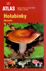 Holubinky