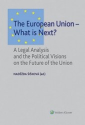 The European Union - What is Next?