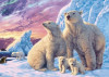 Puzzle Lední medvědi (Secret Collection) - 1000 dílků