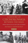 A History of Czechoslovakia Between the Wars