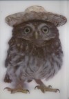 Owl With Hat - 3D pohlednice (MPS 18)
