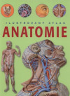 Anatomie - Ilustrovaný atlas