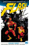 Flash 2: Rychlost temnoty (brož.)