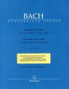 Konzert in E dur für Violine, Streicher und baso continuo BWV 1042
