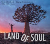 Land of Soul - CD