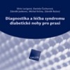 Diagnostika a léčba syndromu diabetické nohy pro praxi - CD-ROM
