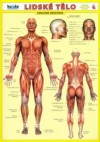 Lidské tělo