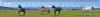 Galloping Horses (cválající koně) - 3D pravítko