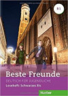 Beste Freunde (B1) - Leseheft: Schwarzes Eis