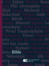 Bible (šedo-fialová, střední formát)