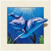 Delfíni - 3D pohlednice velká
