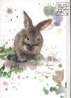 Cleaning Rabbit - přání (F024)