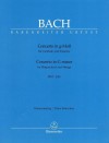 Concerto in g-Moll für Cembalo und Streicher BWV 1058