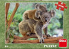 Koala s mláďátkem - Puzzle (300 XL dílků)